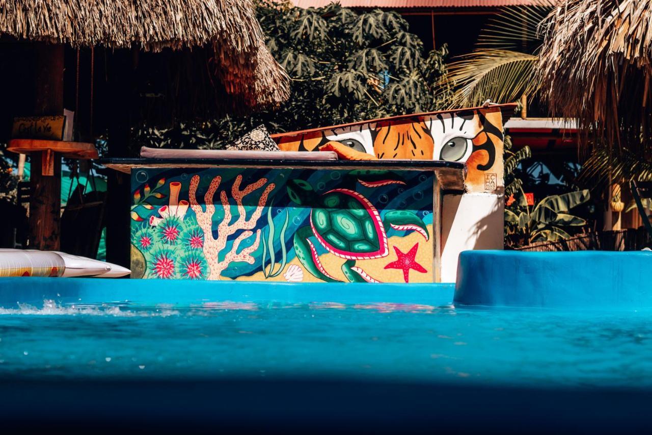 El Zoo Hostel, Bar & Pool ปาโลมิโน ภายนอก รูปภาพ